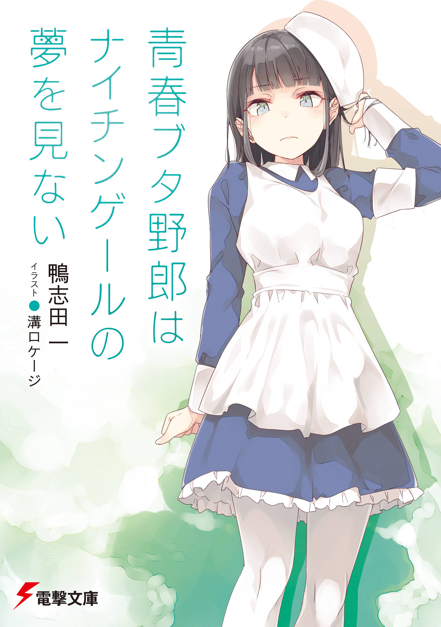 青春ブタ野郎はナイチンゲールの夢を見ない